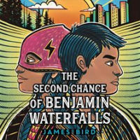 The_Second_Chance_of_Benjamin_Waterfalls